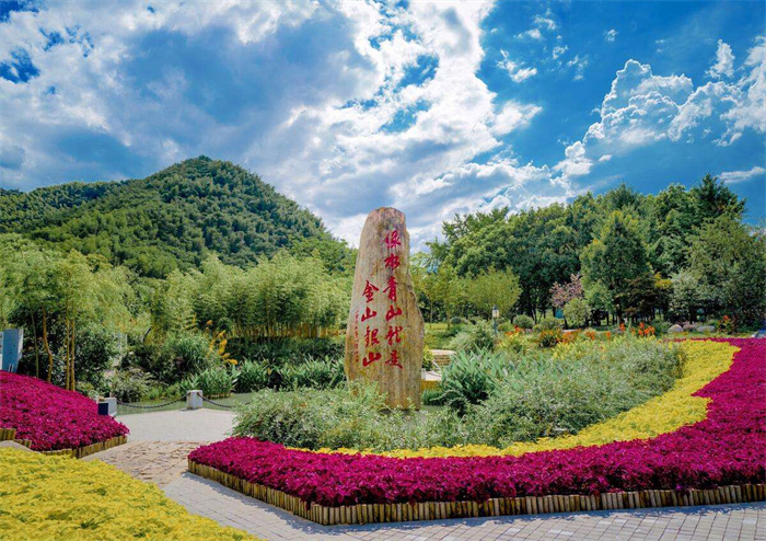 参观安吉余村活动方案