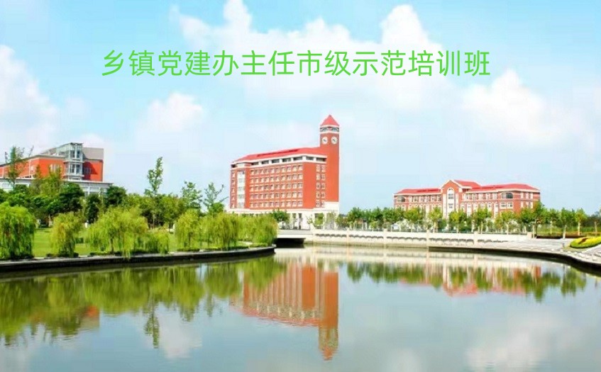 乡镇党建办主任培训方案计划内容总结述职
