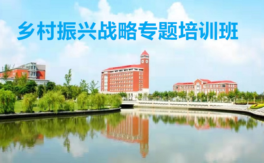 乡村振兴专题培训班心得体会总结